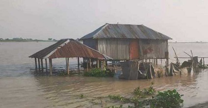 image-here