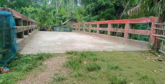 image-here