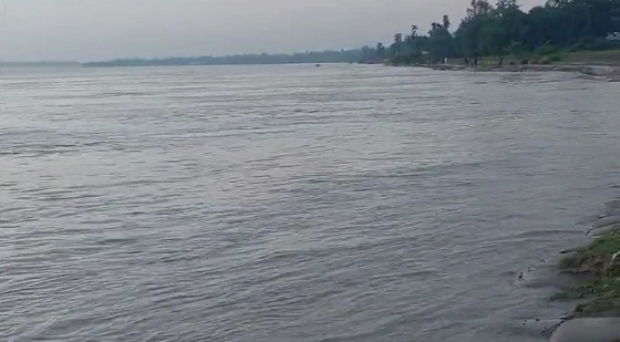 image-here