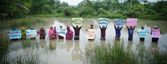 image-here