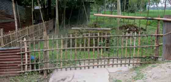 image-here