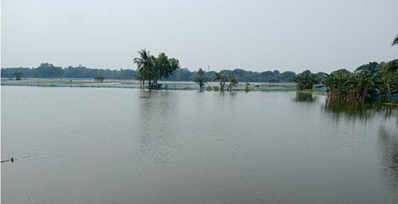 image-here