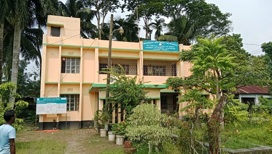 image-here