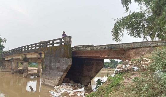 image-here