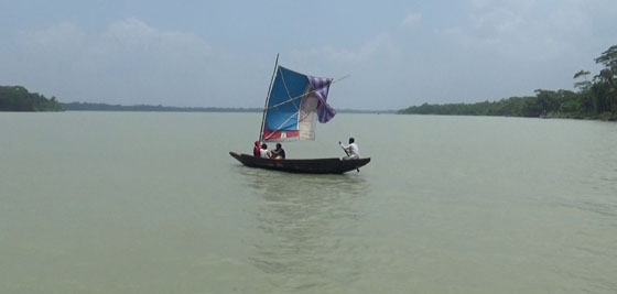 image-here