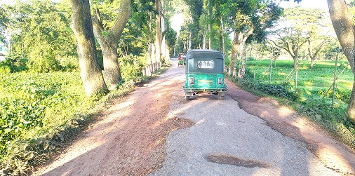 image-here