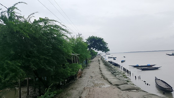 image-here