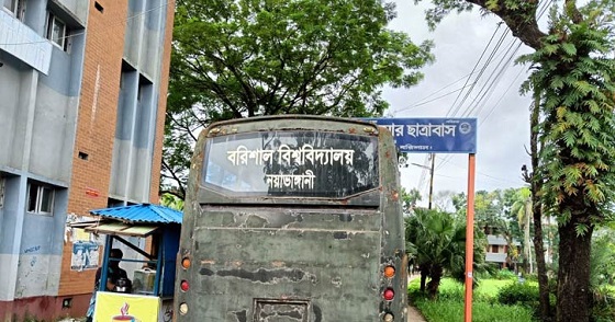 image-here