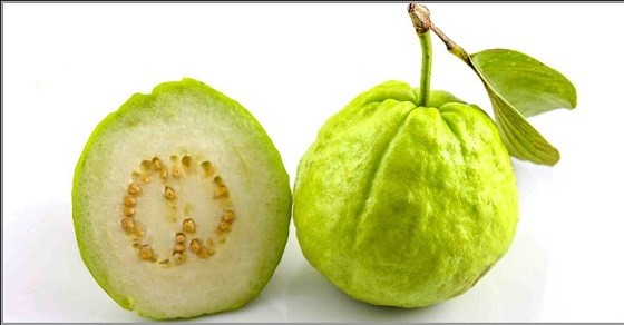 image-here