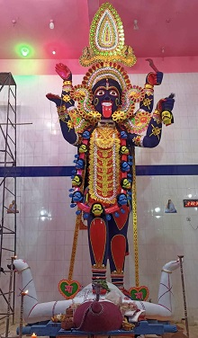 image-here