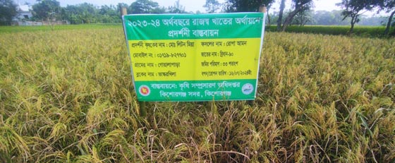 image-here