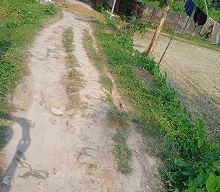 image-here