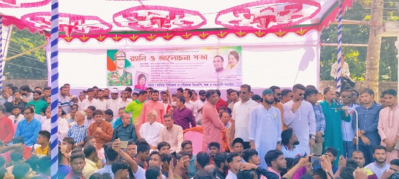 image-here