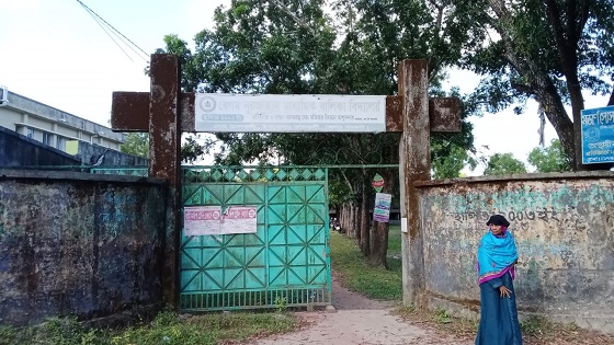 image-here