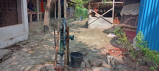image-here