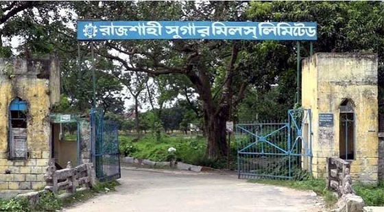 image-here