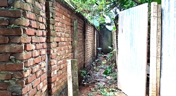 image-here