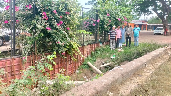 image-here